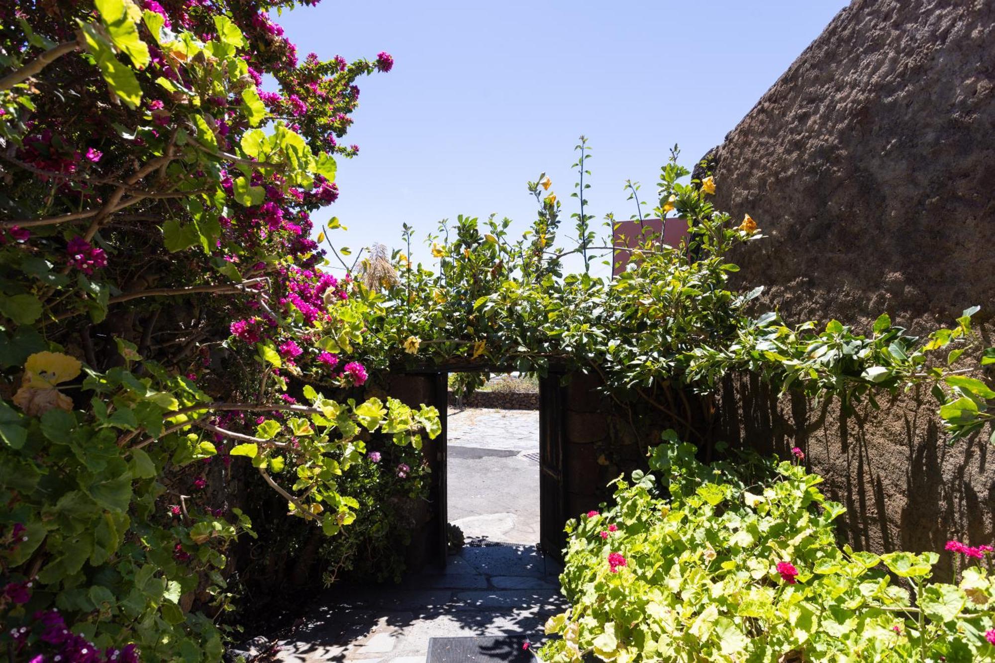 Charming Rustic House El Pinar & Wifi Guest House Bagian luar foto