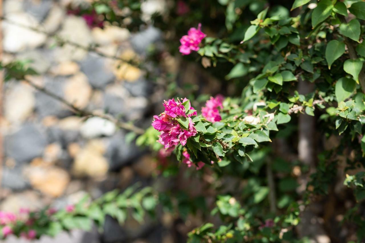 Charming Rustic House El Pinar & Wifi Guest House Bagian luar foto